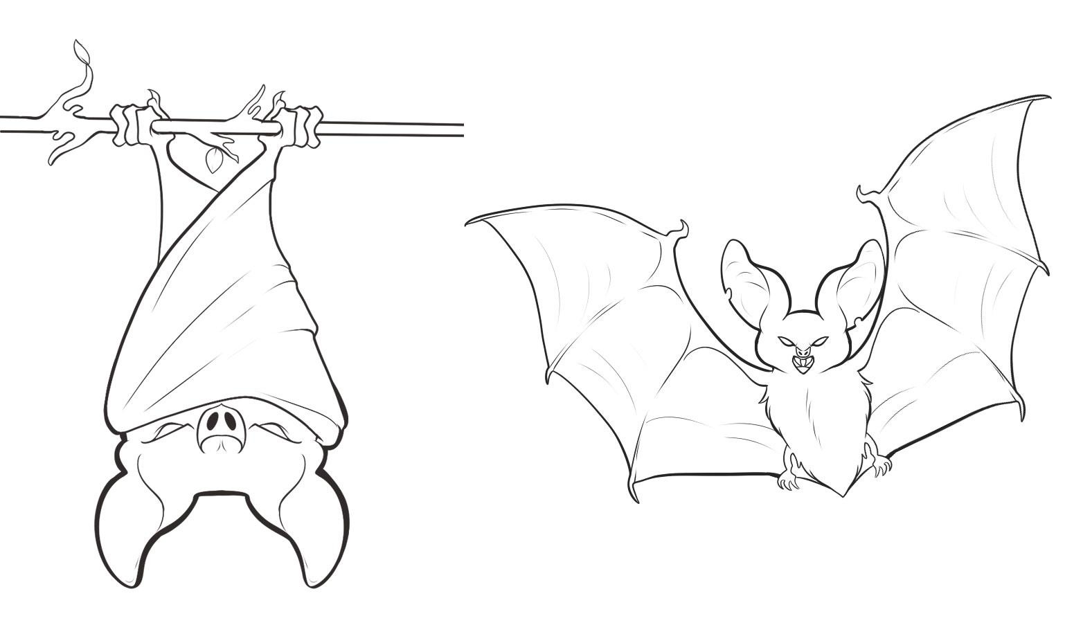 Free printable bat coloring pages for kids