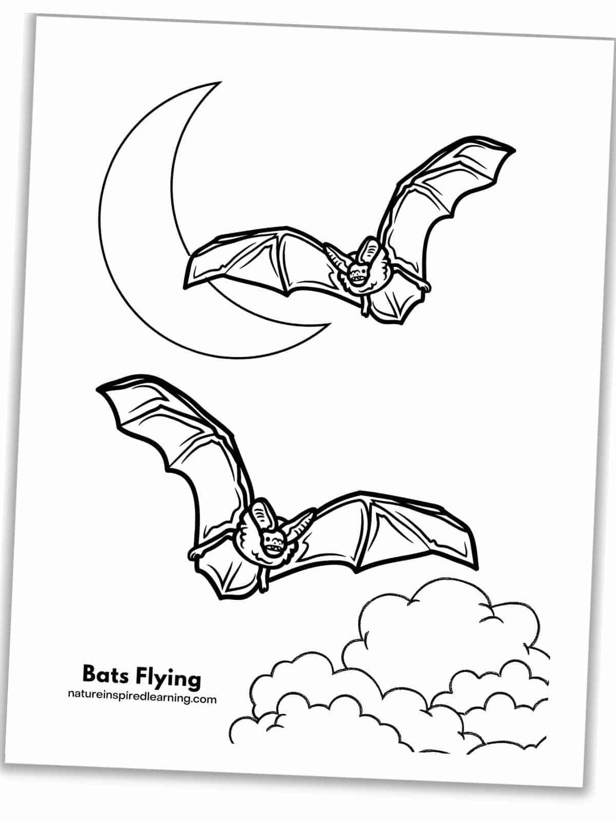 Best bat coloring pages