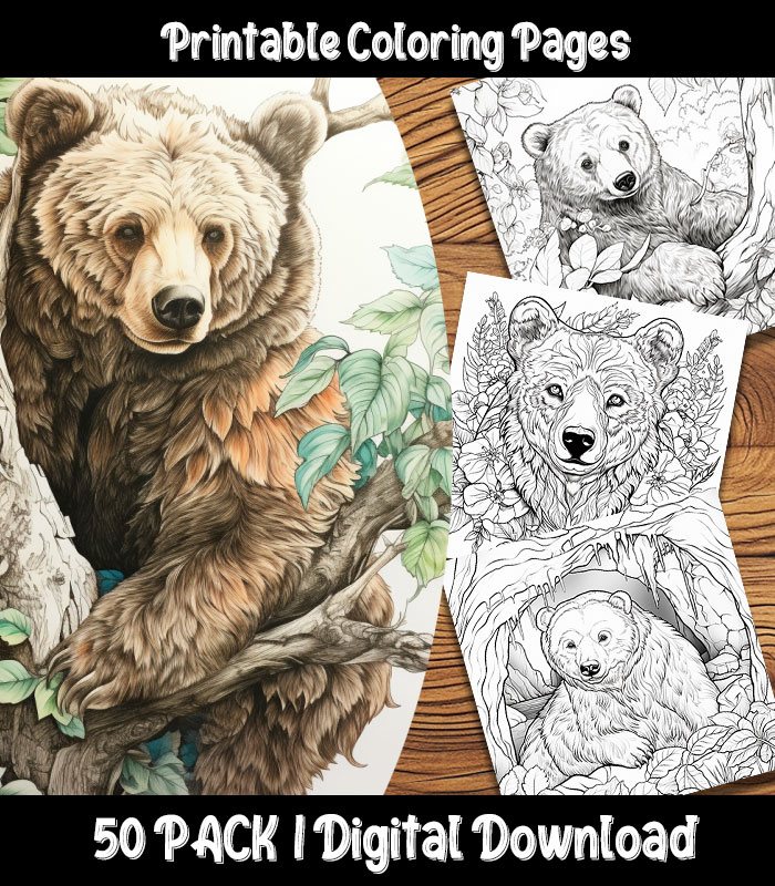 Bear coloring pages printable pack happy colorist