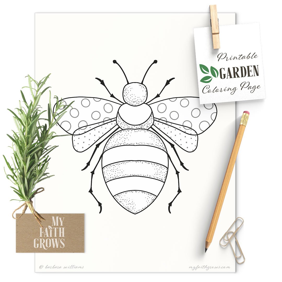 Honey bee printable coloring page barbara anne