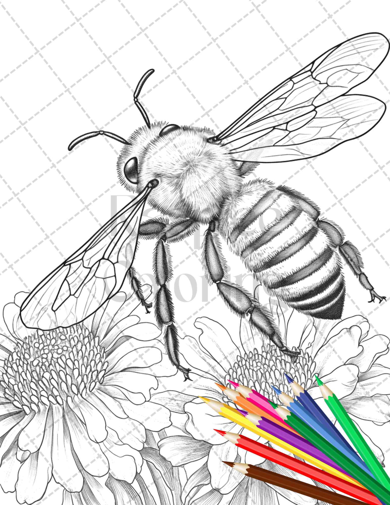 Vintage botanical bee grayscale coloring pages printable for adults â coloring