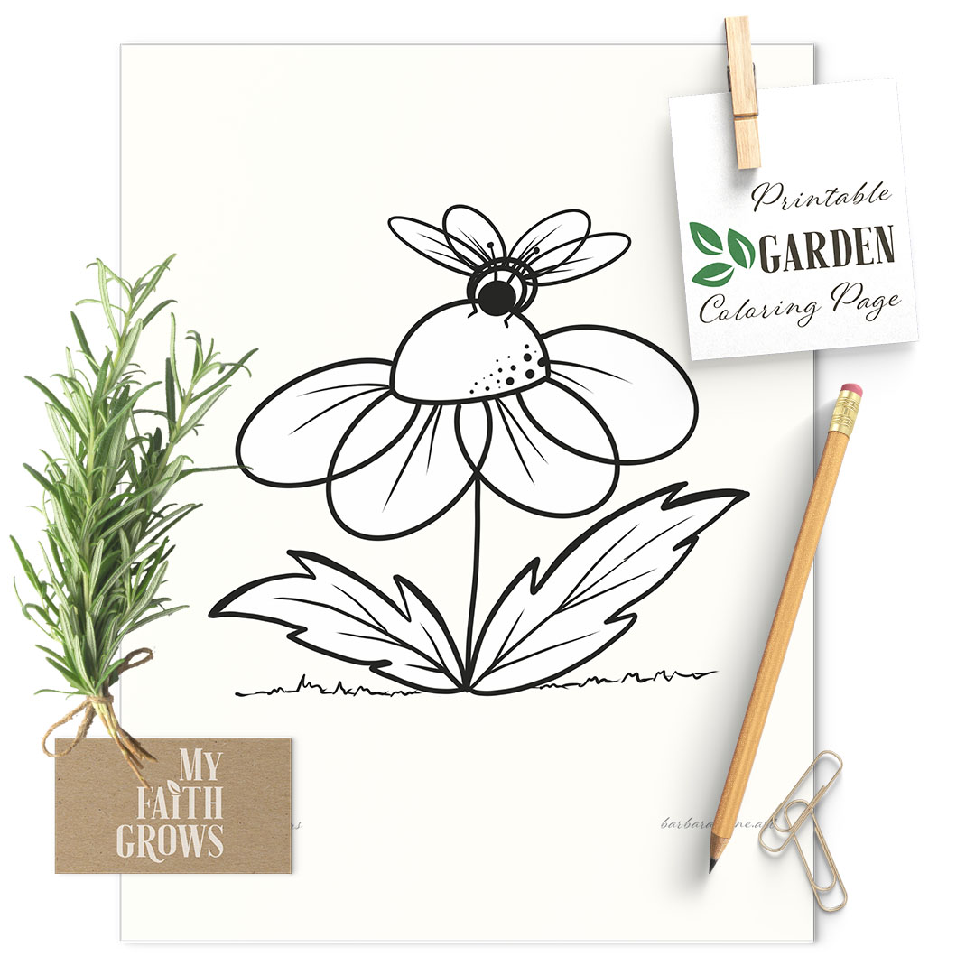 Purple coneflower and bee coloring page barbara anne