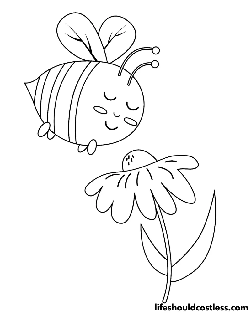 Bee coloring pages free printable pdf templates