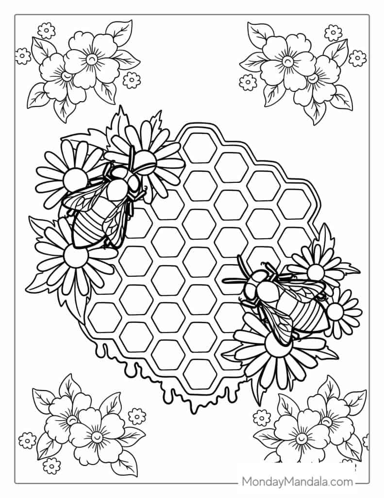 Bee coloring pages free pdf printables