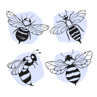 Page printable bee coloring pages vectors illustrations for free download