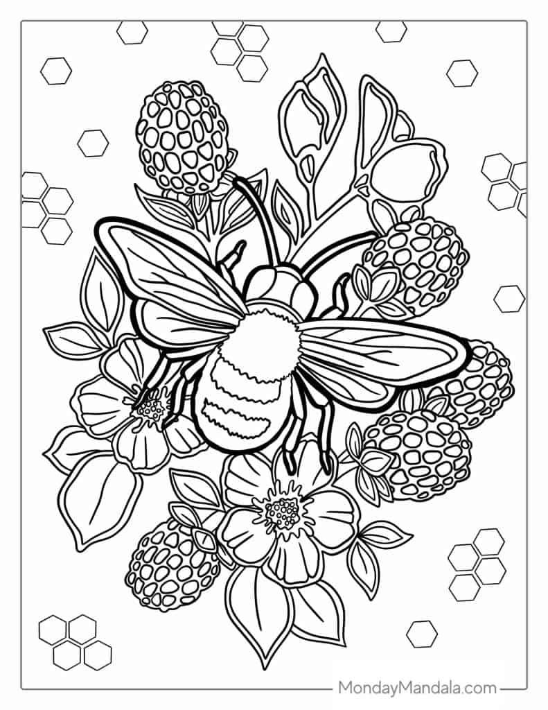 Bee coloring pages free pdf printables