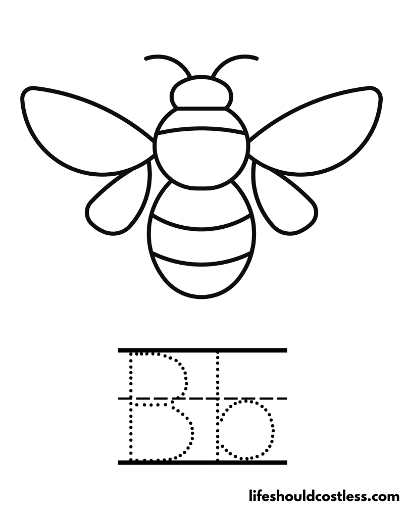 Bee coloring pages free printable pdf templates