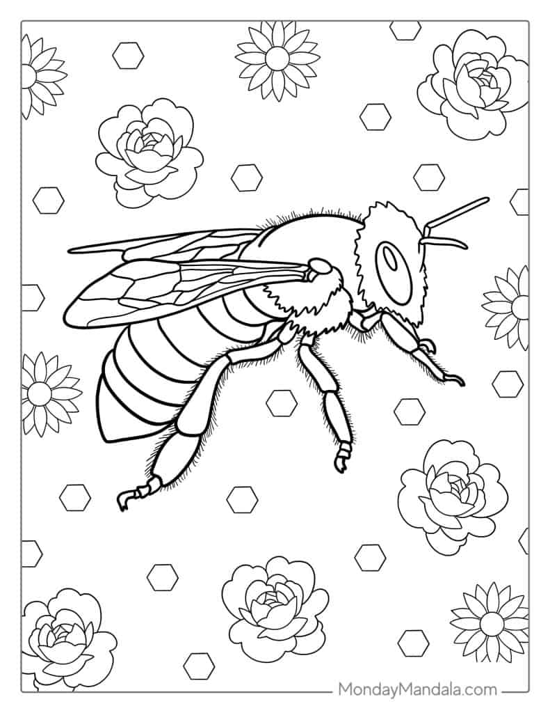 Bee coloring pages free pdf printables