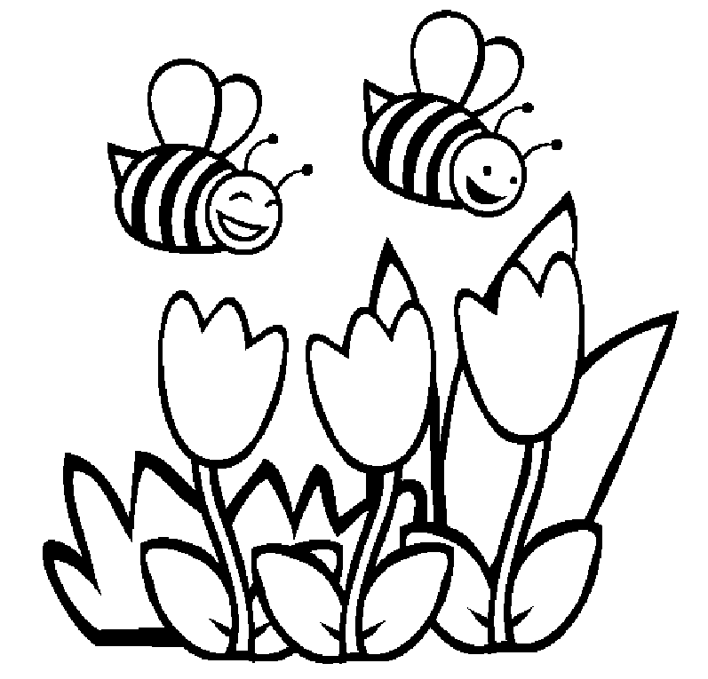 Bee coloring pages printable for free download