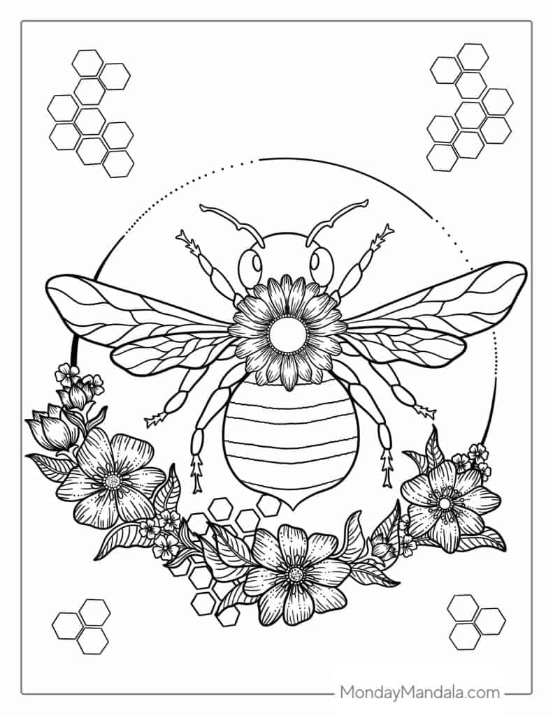 Bee coloring pages free pdf printables