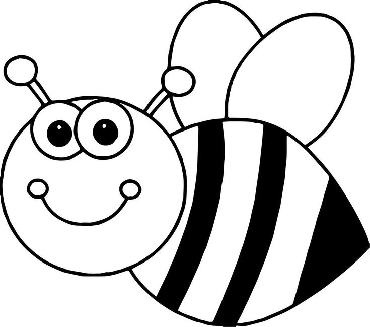 Bee coloring bee coloring pages bee template bee pictures