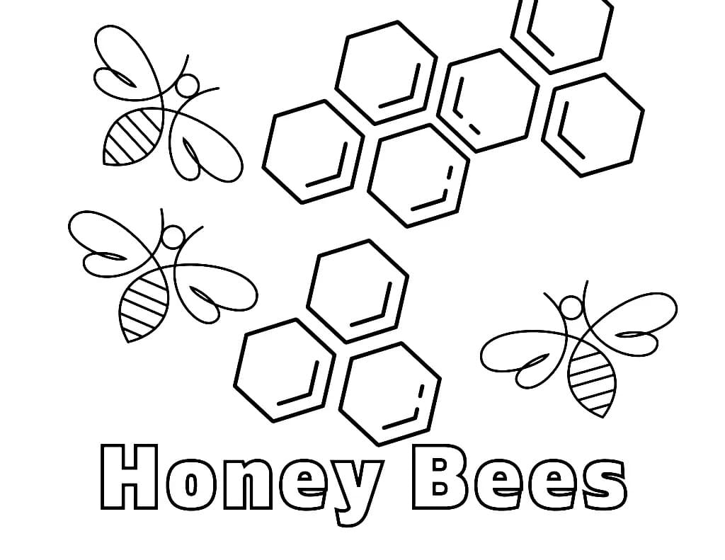 Honey bees coloring page