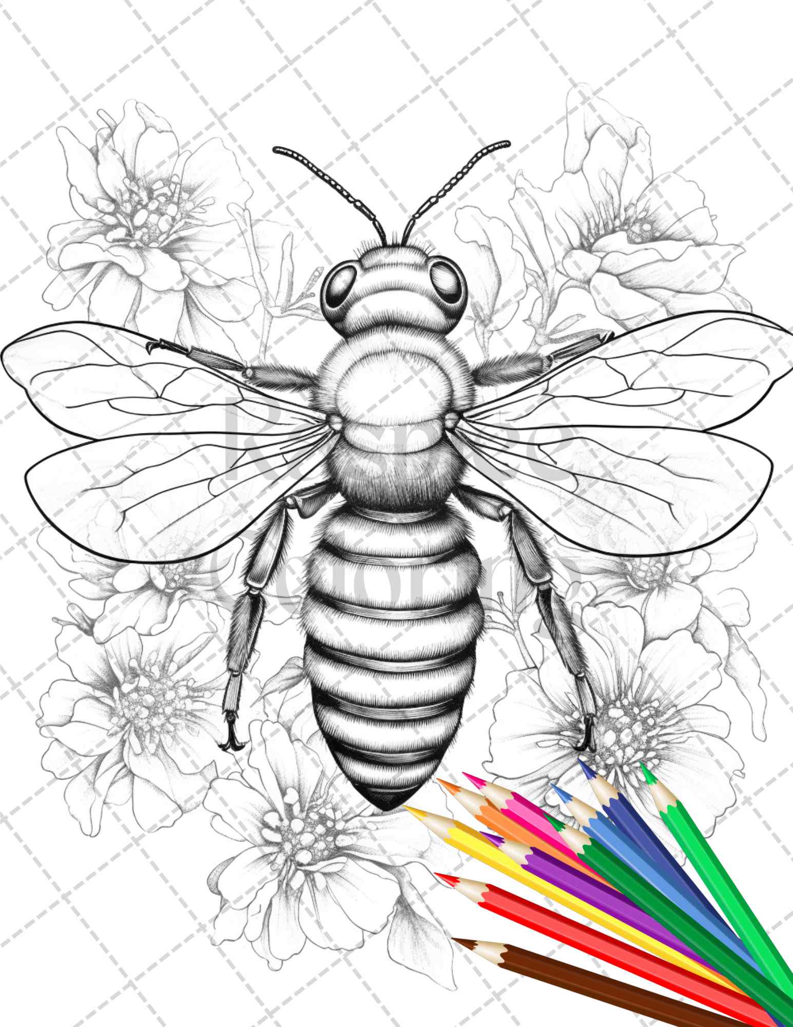 Vintage botanical bee grayscale coloring pages printable for adults â coloring