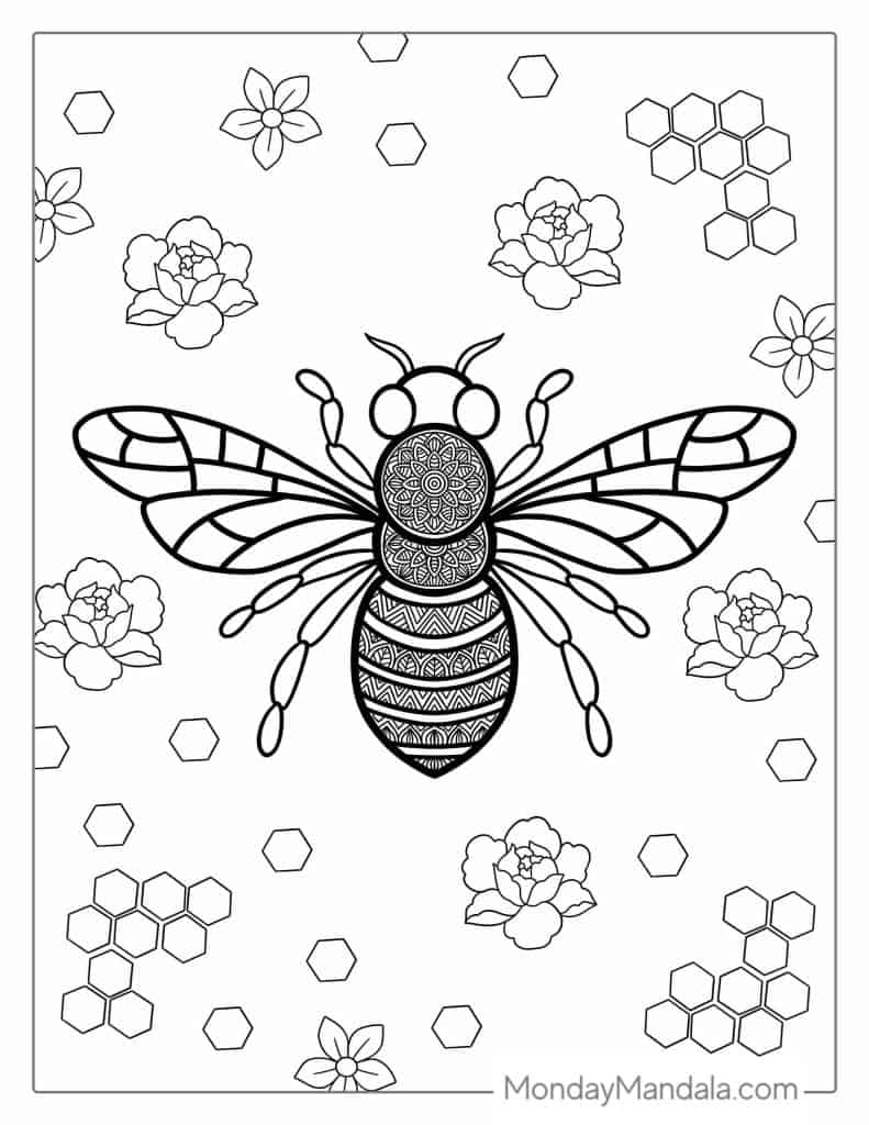 Bee coloring pages free pdf printables