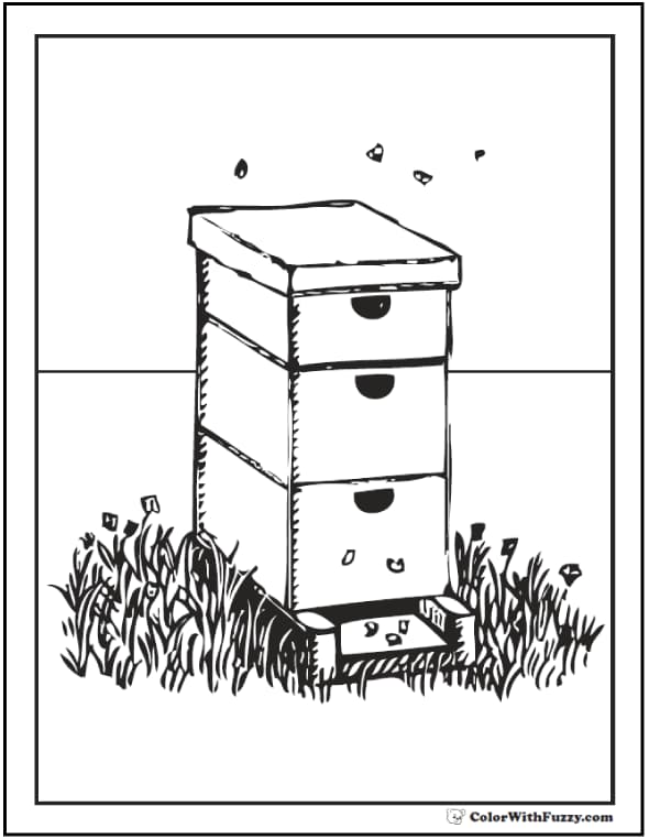 Bee coloring pages hives flowers and honey