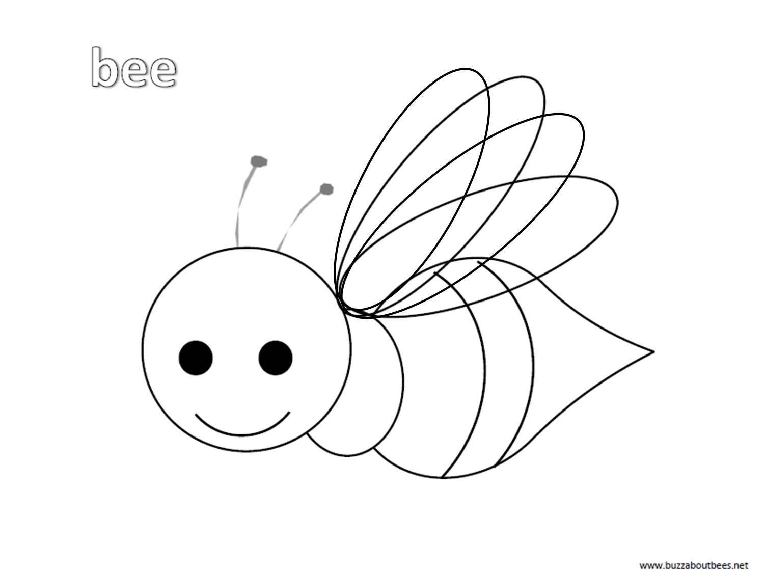 Bee coloring pages free to download and print