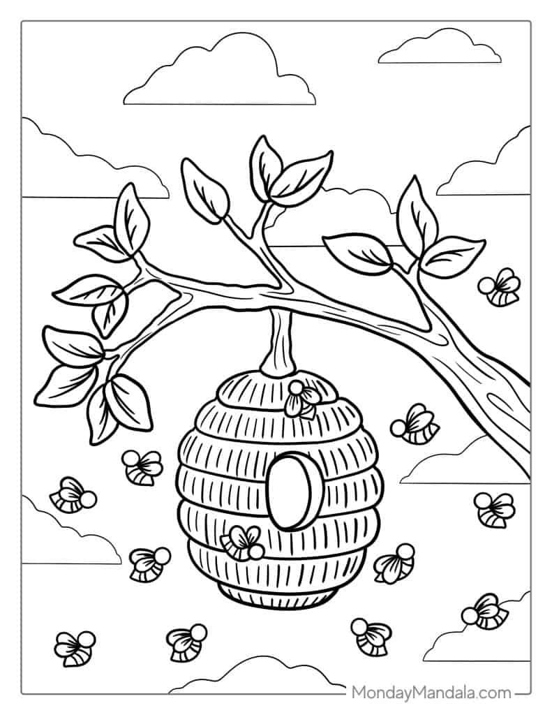 Bee coloring pages free pdf printables