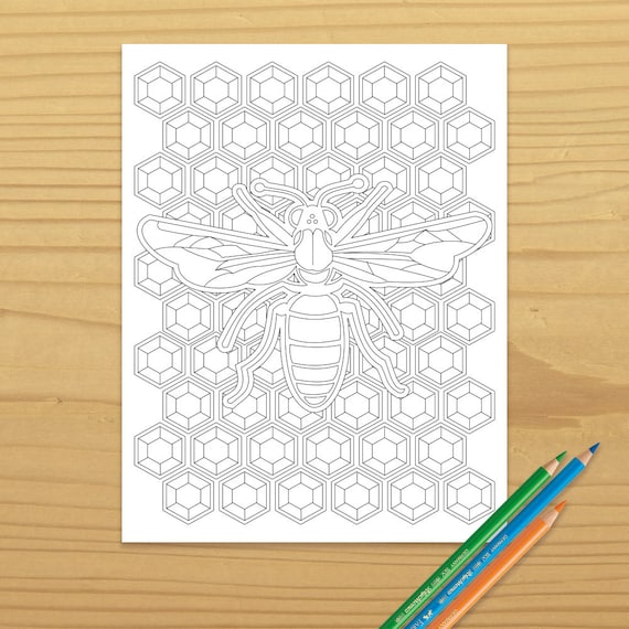 Printable bee coloring page digital download evisionarts