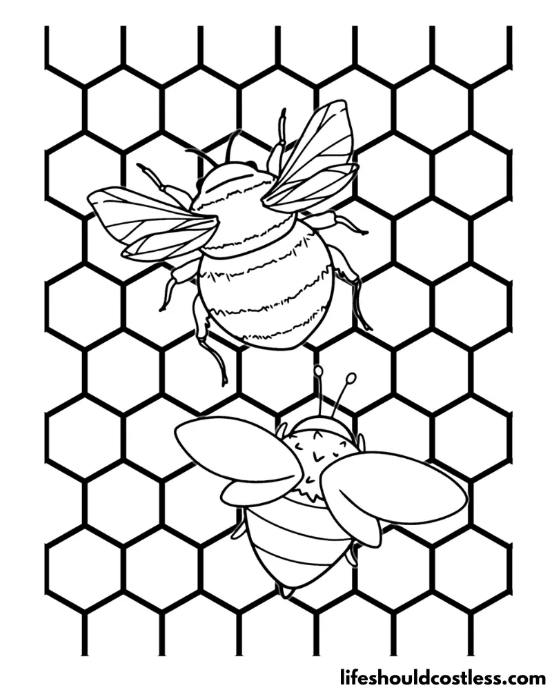 Bee coloring pages free printable pdf templates