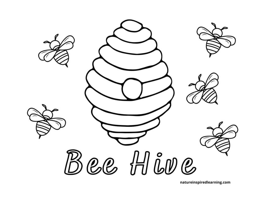 Busy bee coloring pages for kids