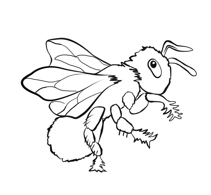 Free printable bee coloring pages for kids