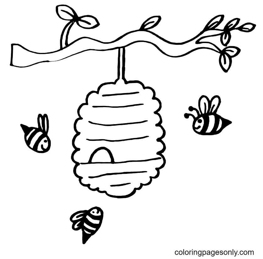 Bee coloring pages printable for free download