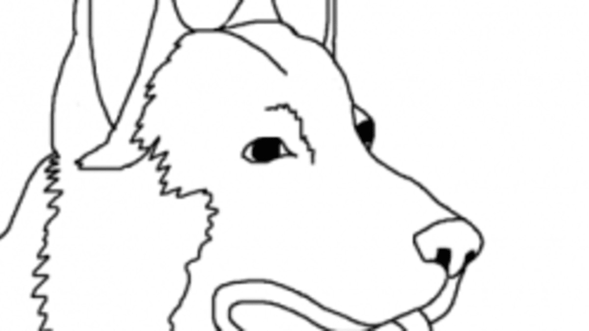 Dog breed coloring pages