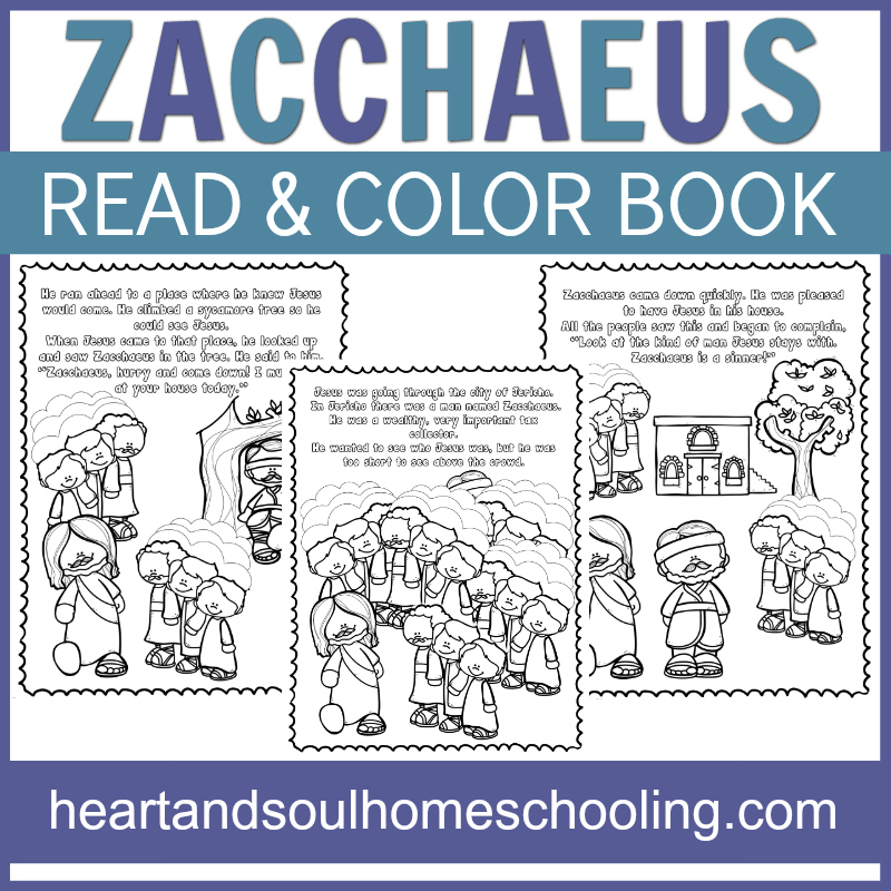 Zacchaeus read and color bible story