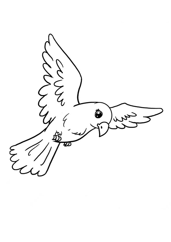 Coloring pages free printable birds coloring pages for kids