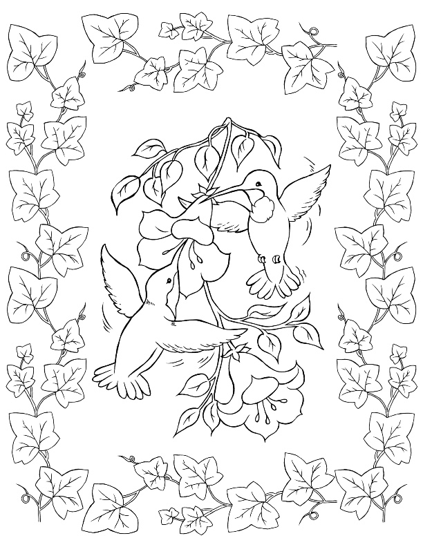 Bird coloring pages