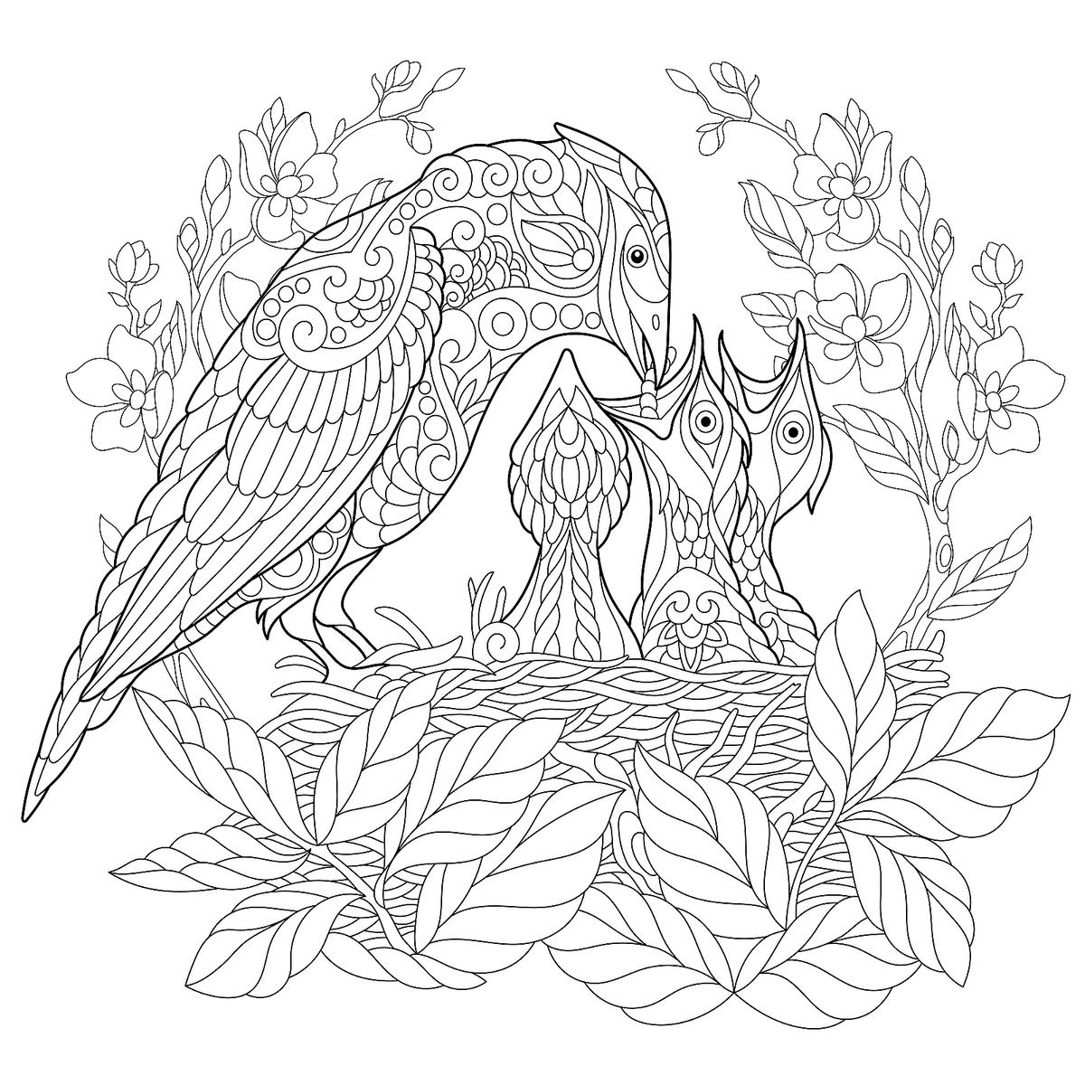 Bird coloring pages free fun printable coloring pages of our fine feathered friends printables mom