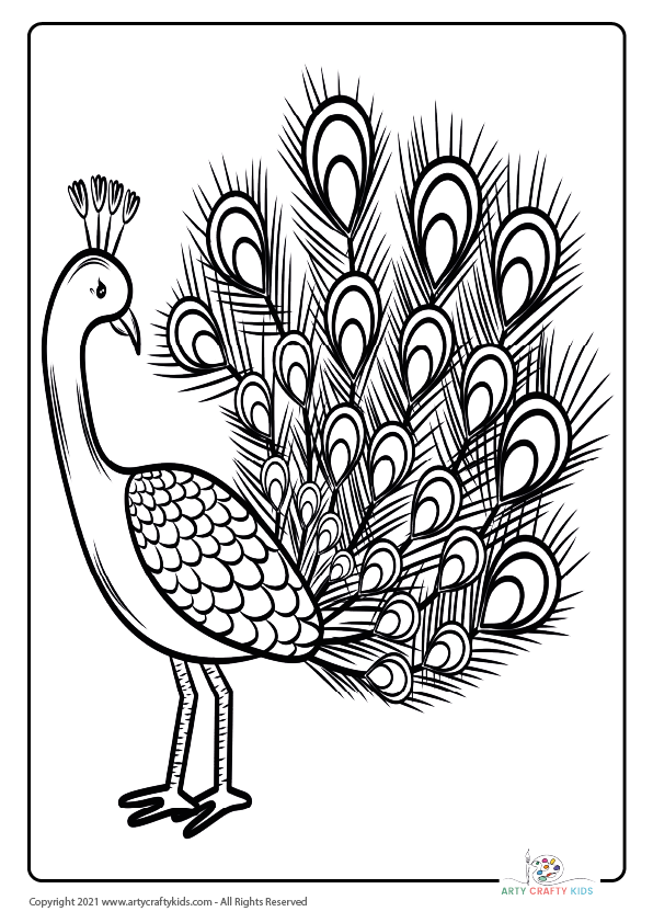 Bird coloring pages