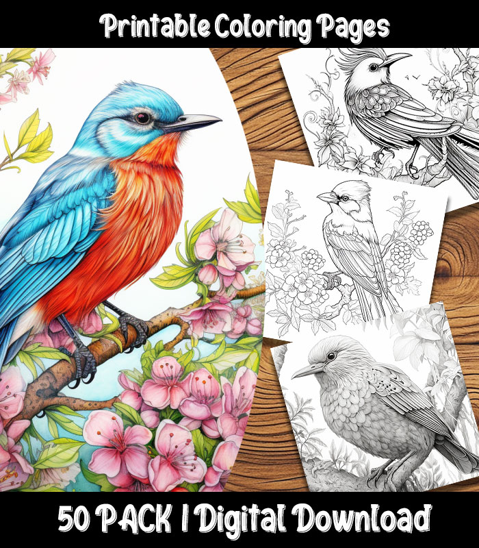 Bird coloring pages printable pack happy colorist