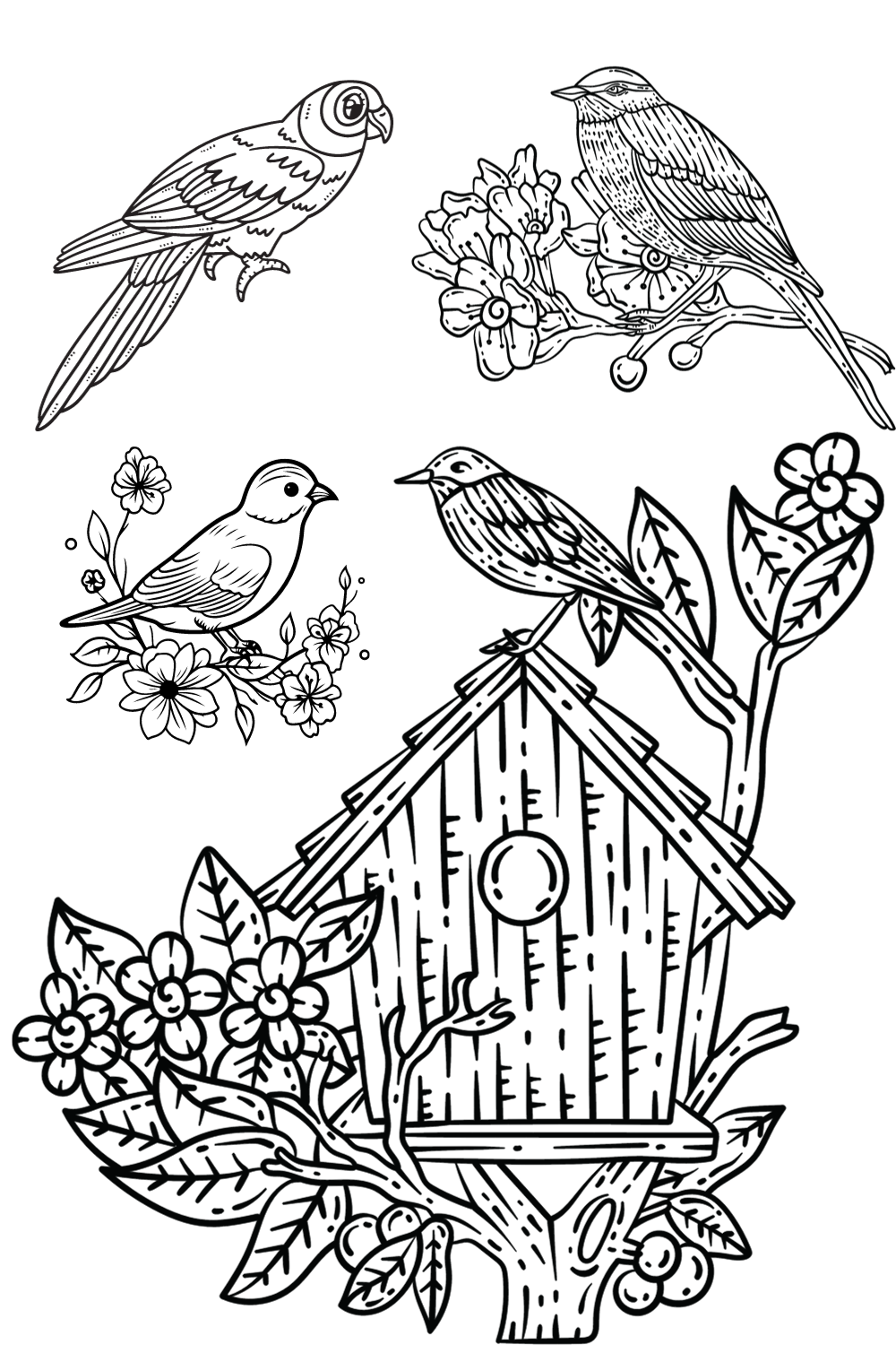 Bird coloring pages for kids and adults