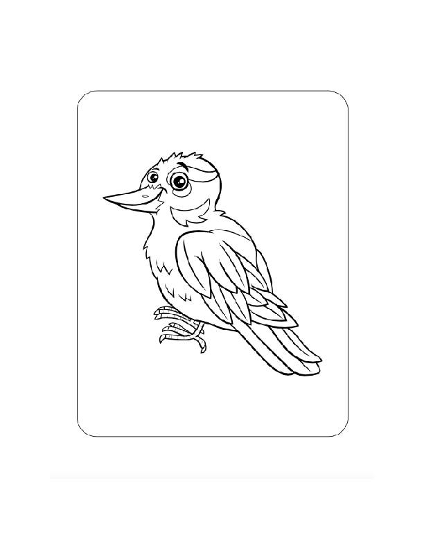 Bird coloring pages printable digital download coloring book pages