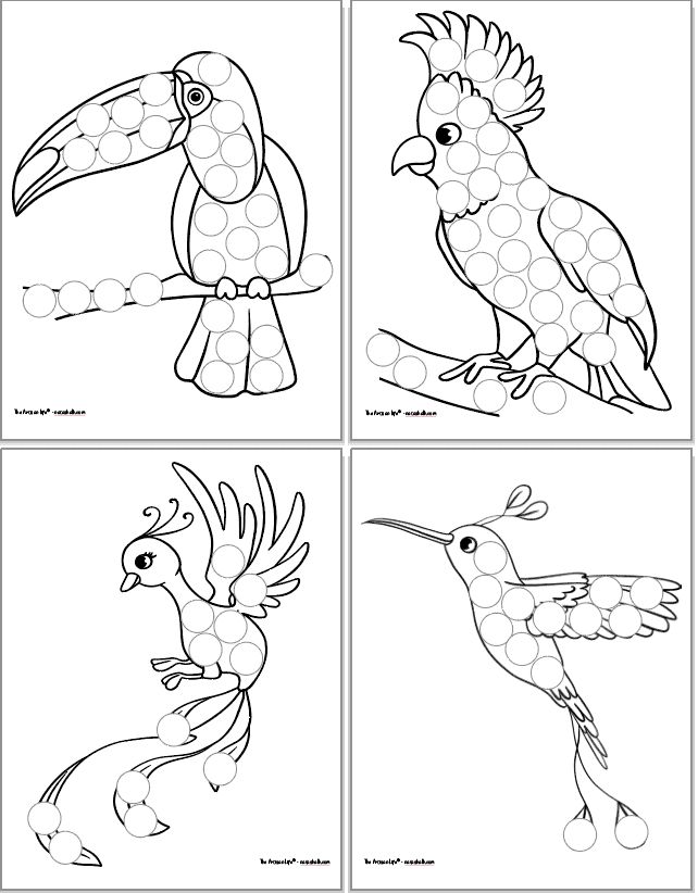 Free printable tropical bird do a dot pages for toddlers preschoolers bird coloring pages bird crafts preschool do a dot