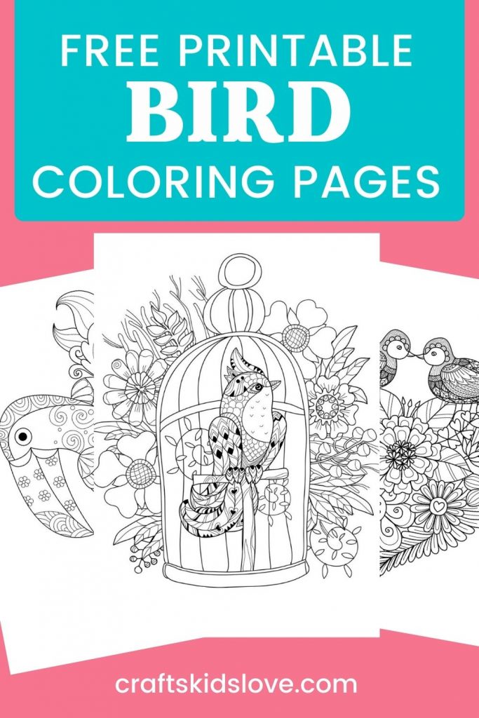 Free printable bird coloring pages