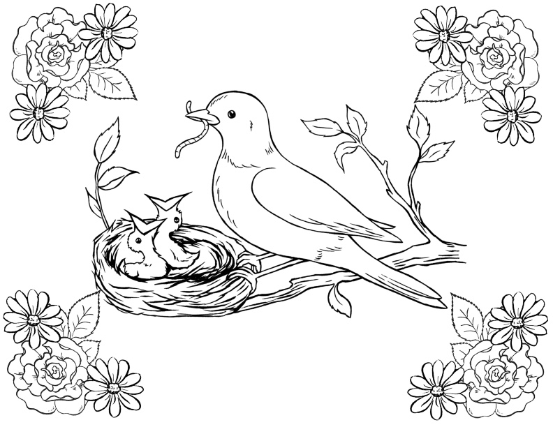 Bird coloring pages