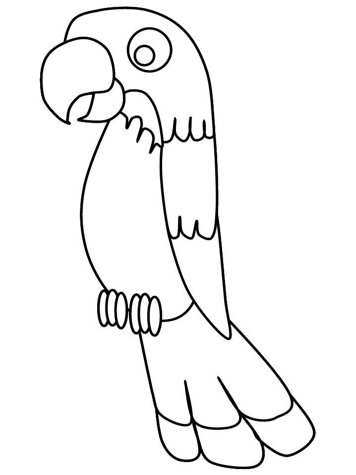 Colorful parrot coloring pages for animal lovers