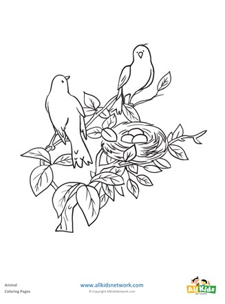 Birds in nest coloring page all kids network