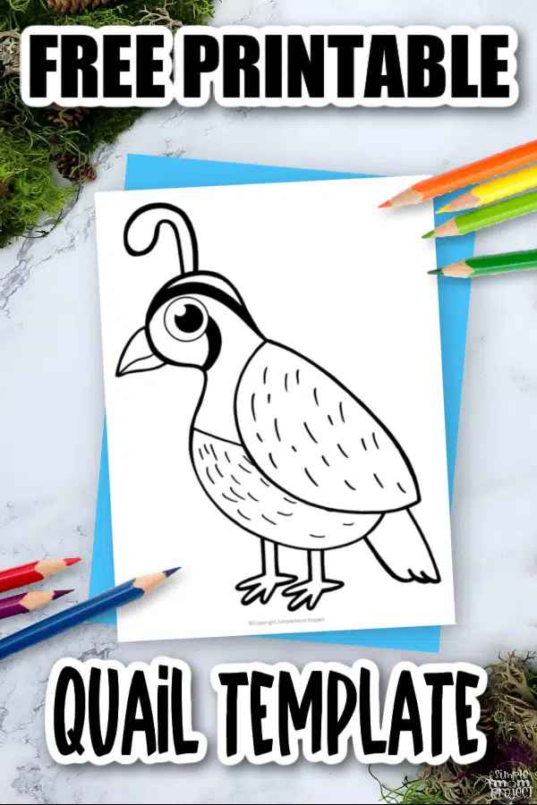 Free printable quail template â simple mom project