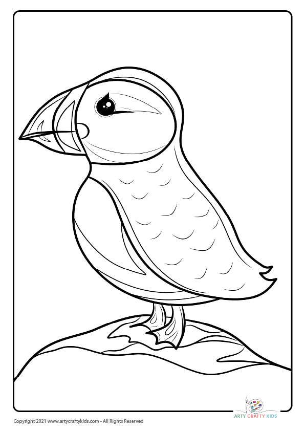 Bird coloring pages