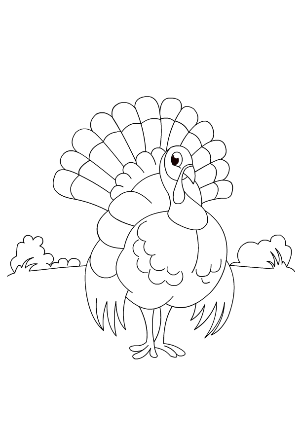 Bird themed coloring pages color hen