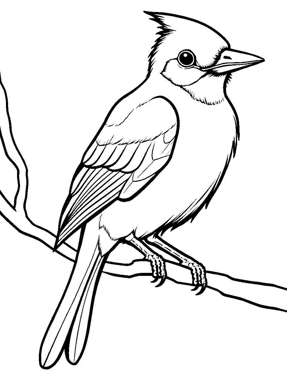 Bird coloring pages free printable sheets