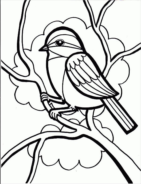 Bird coloring pages