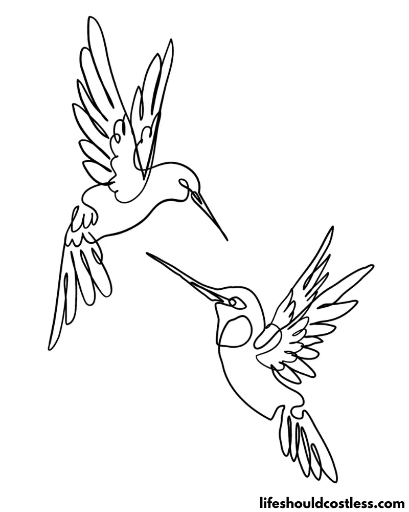 Hummingbird coloring pages free printable pdf templates