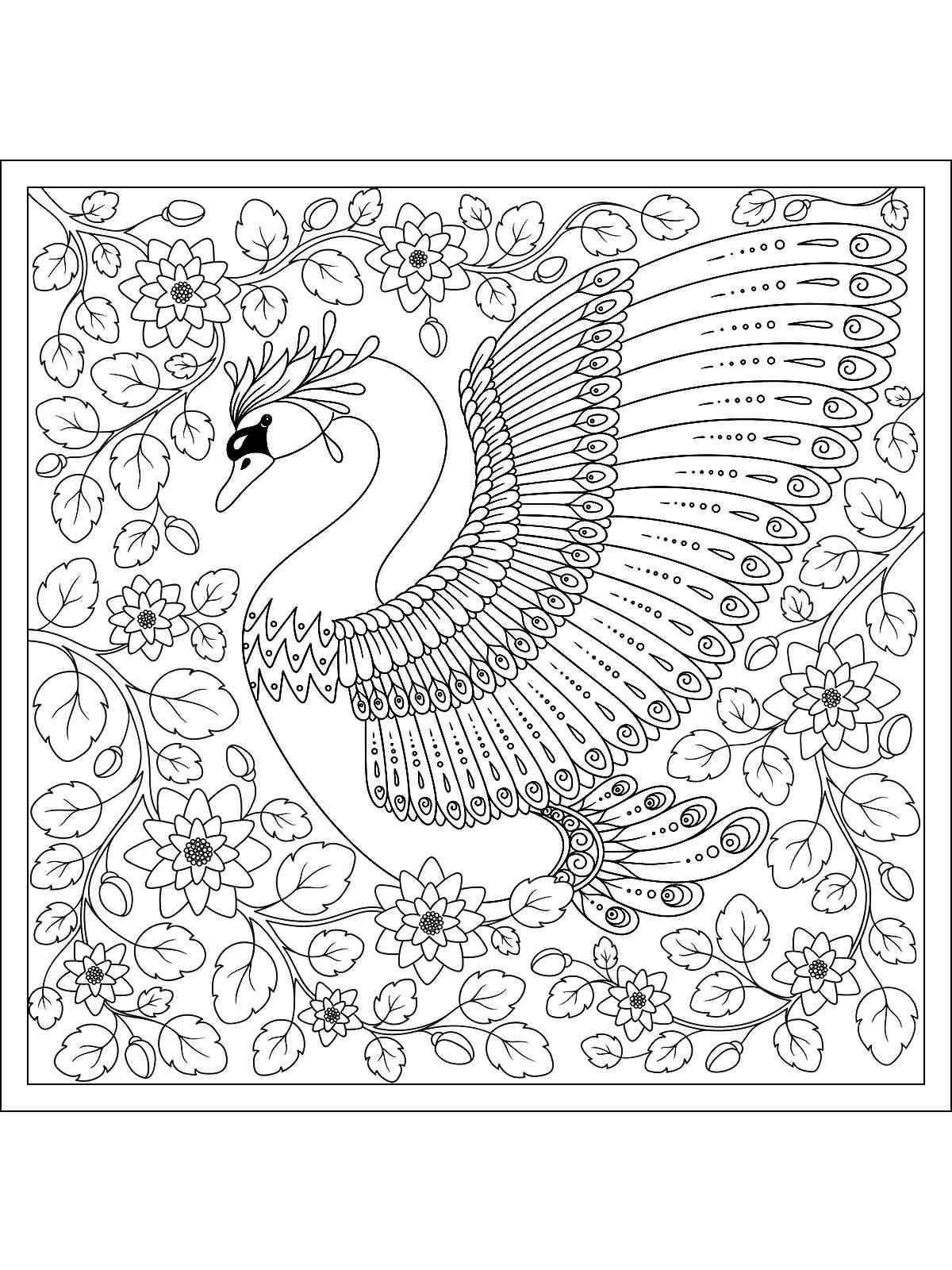 Swan coloring pages for adults
