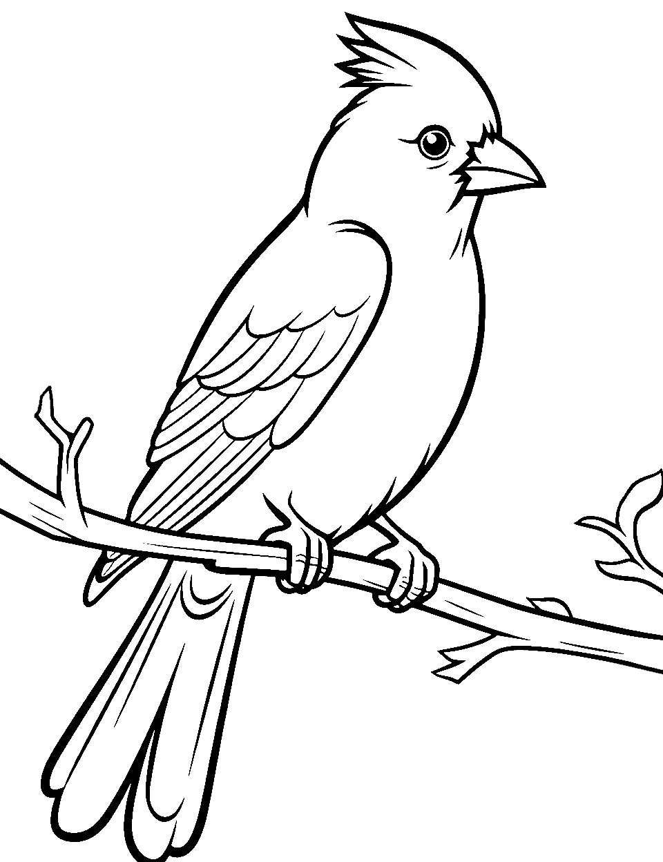 Bird coloring pages free printable sheets