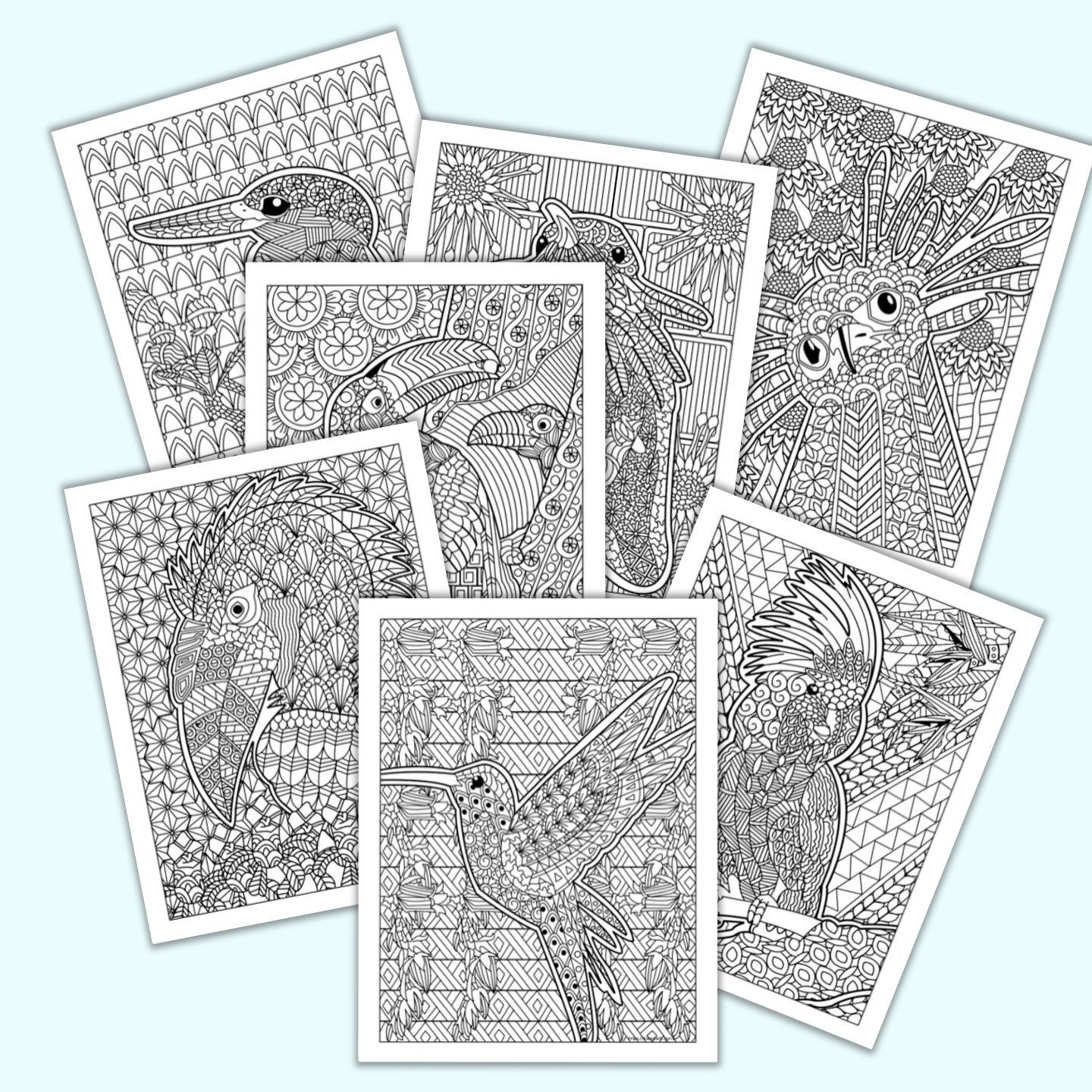 Free printable bird coloring pages for adults