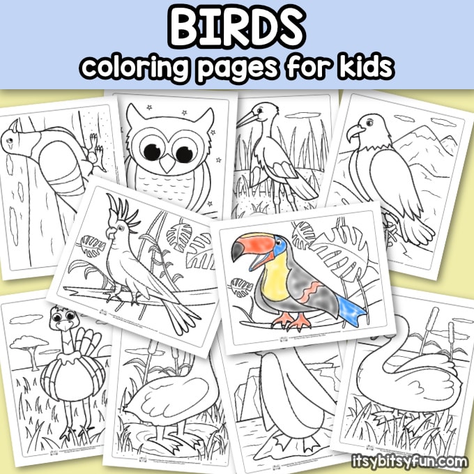 Birds coloring pages for kids